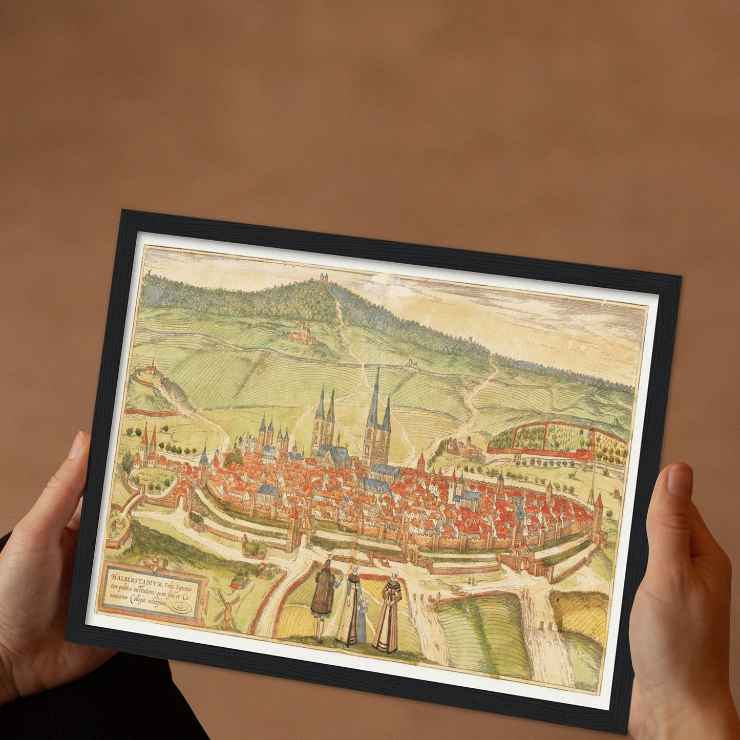 Historische Stadtansicht Halberstadt um 1582