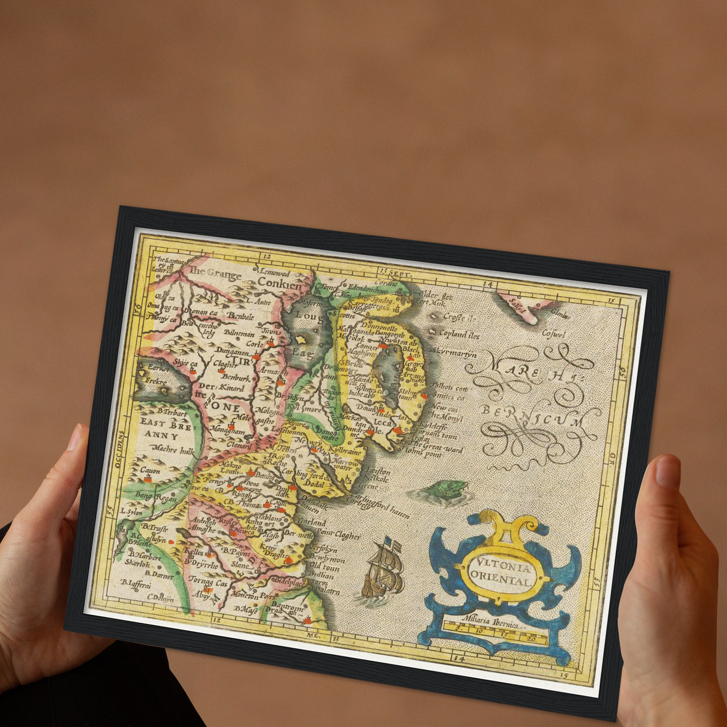 Historische Landkarte Dublin um 1609