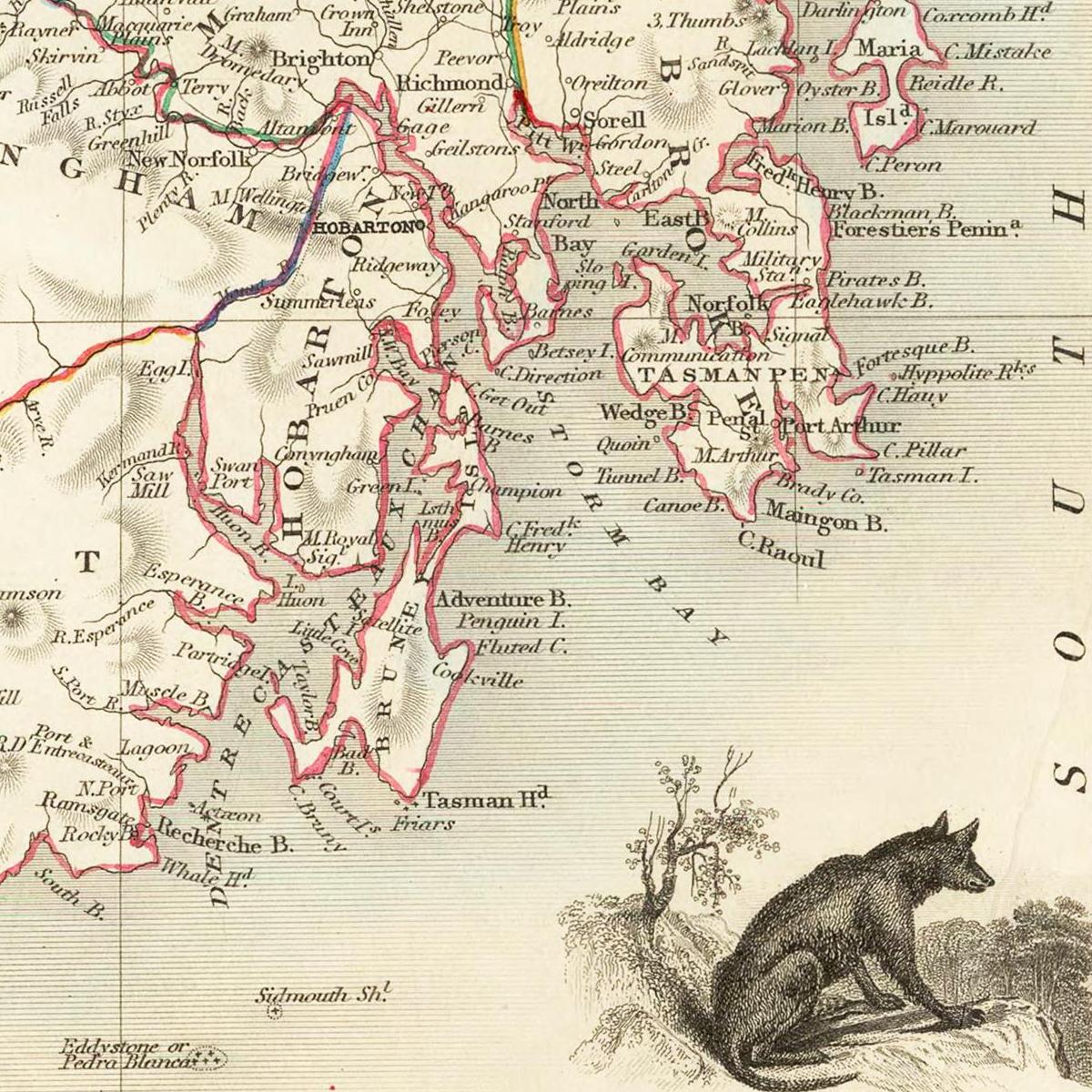 Historische Landkarte Tasmanien um 1850