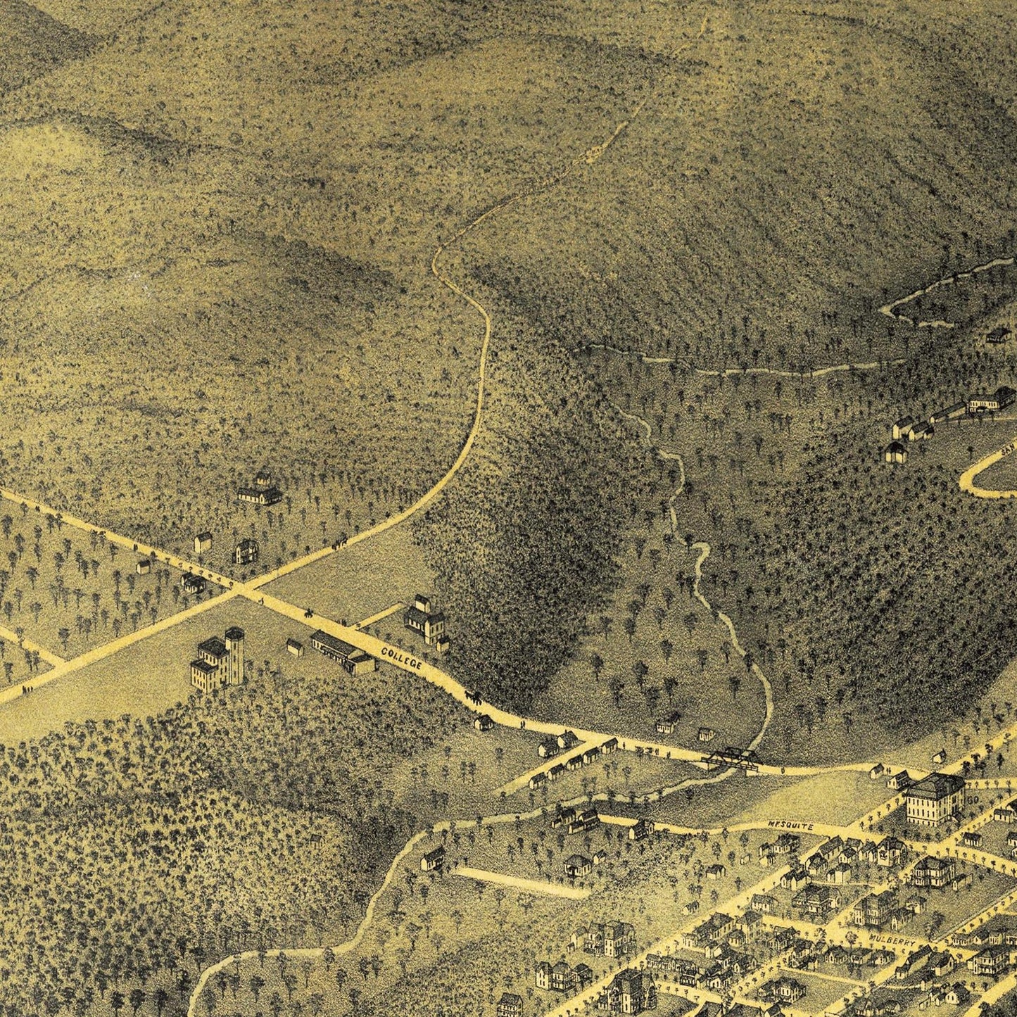 Historische Stadtansicht Austin um 1887