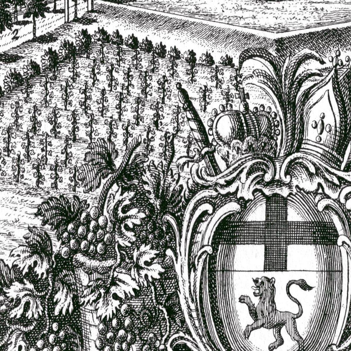 Historische Stadtansicht Bonn um 1700