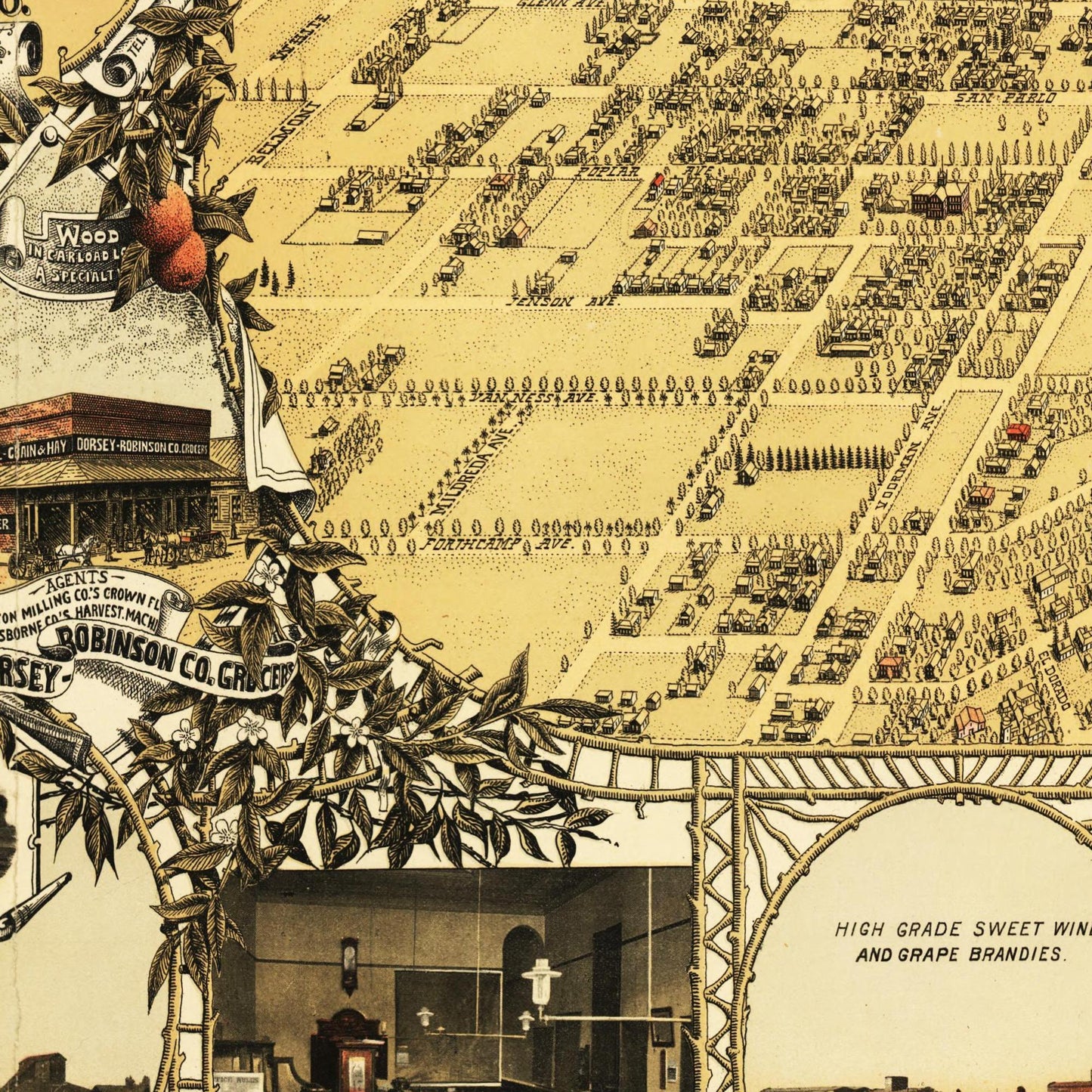 Historische Stadtansicht Fresno um 1901