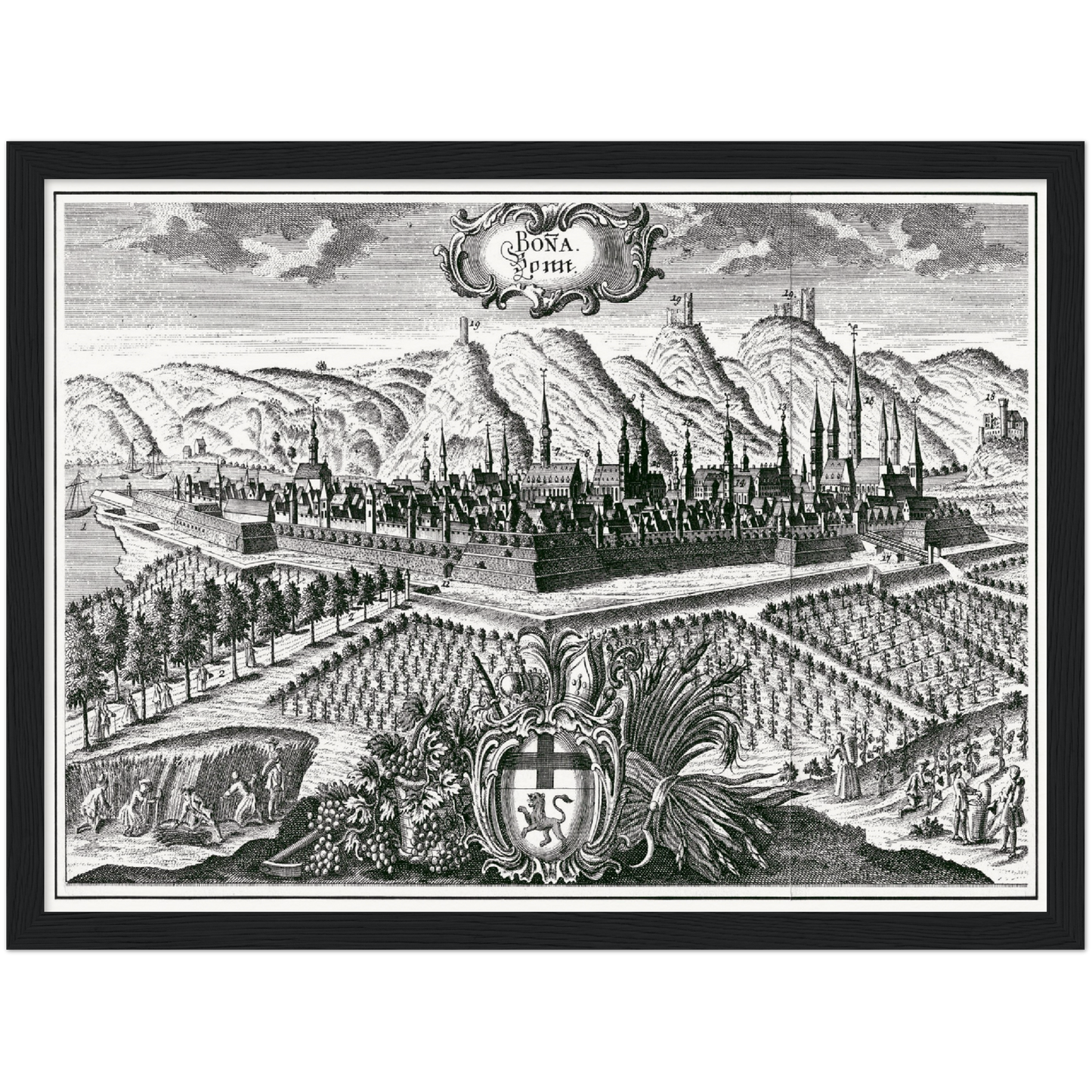 Historische Stadtansicht Bonn um 1700