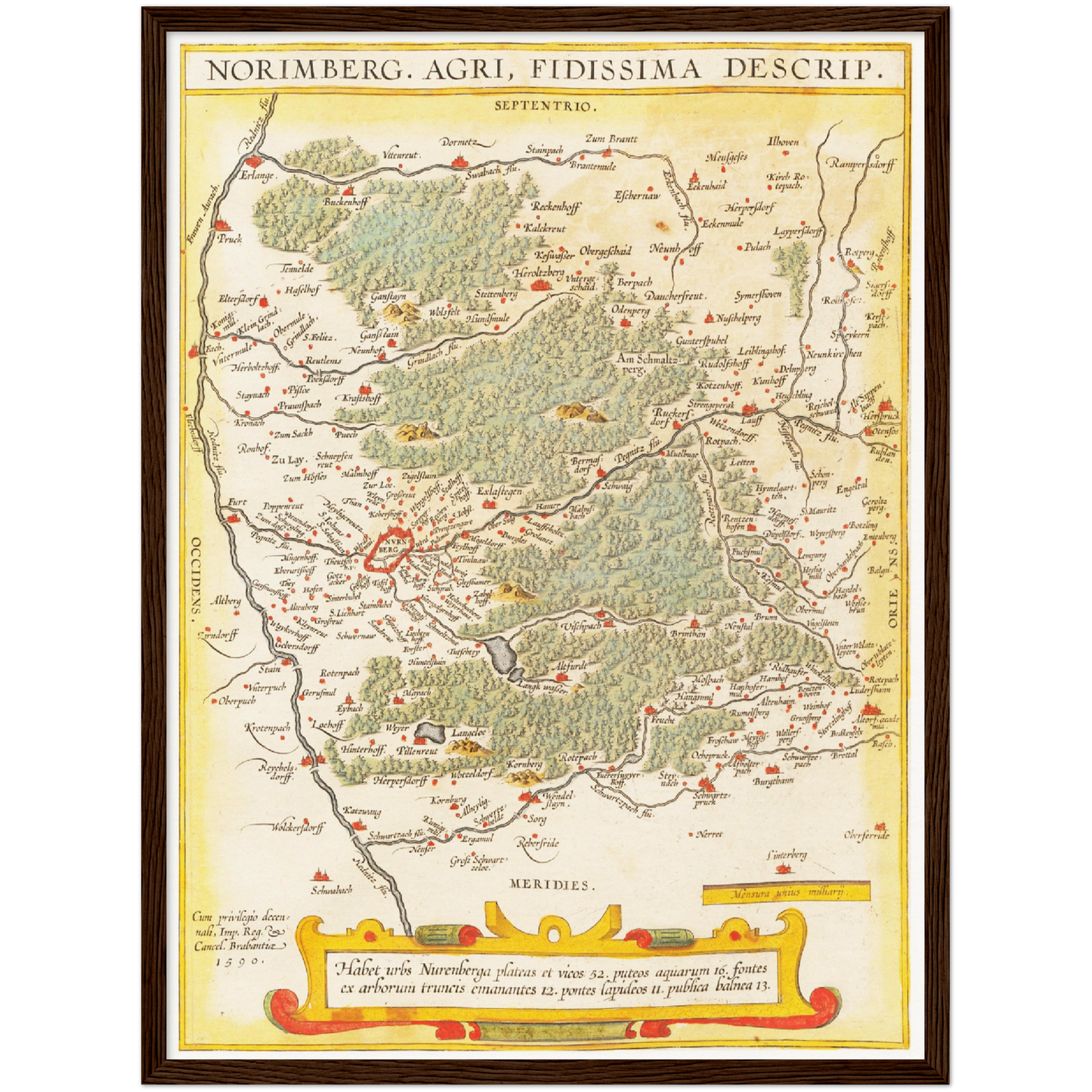 Historische Landkarte Nürnberg um 1609