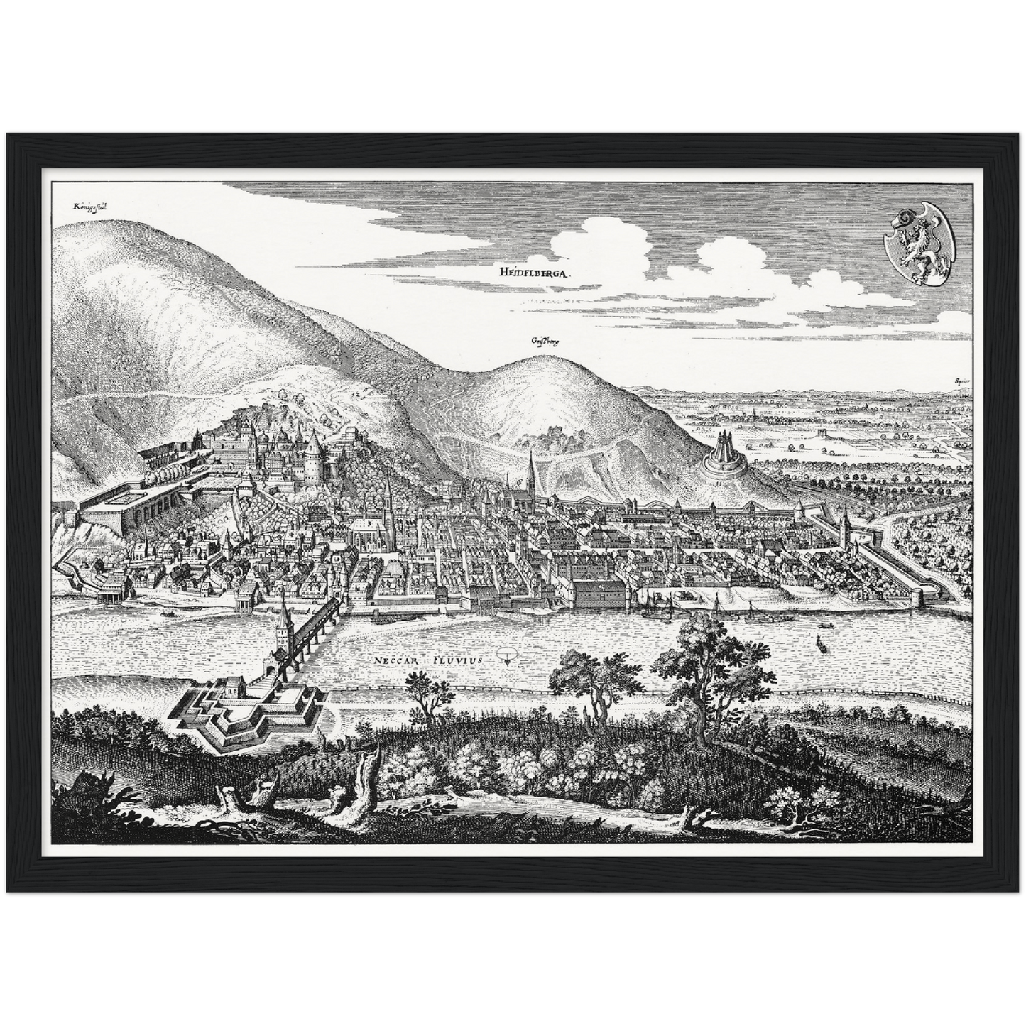 Historische Stadtansicht Heidelberg um 1645