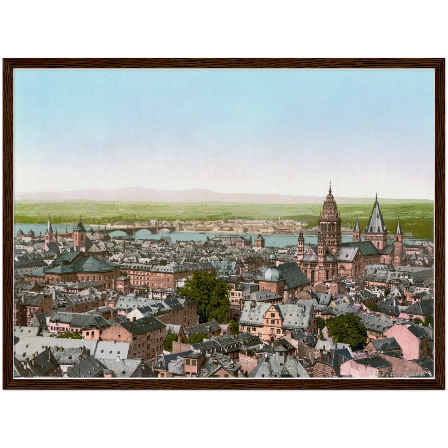 Historische Ansicht Mainz um 1890