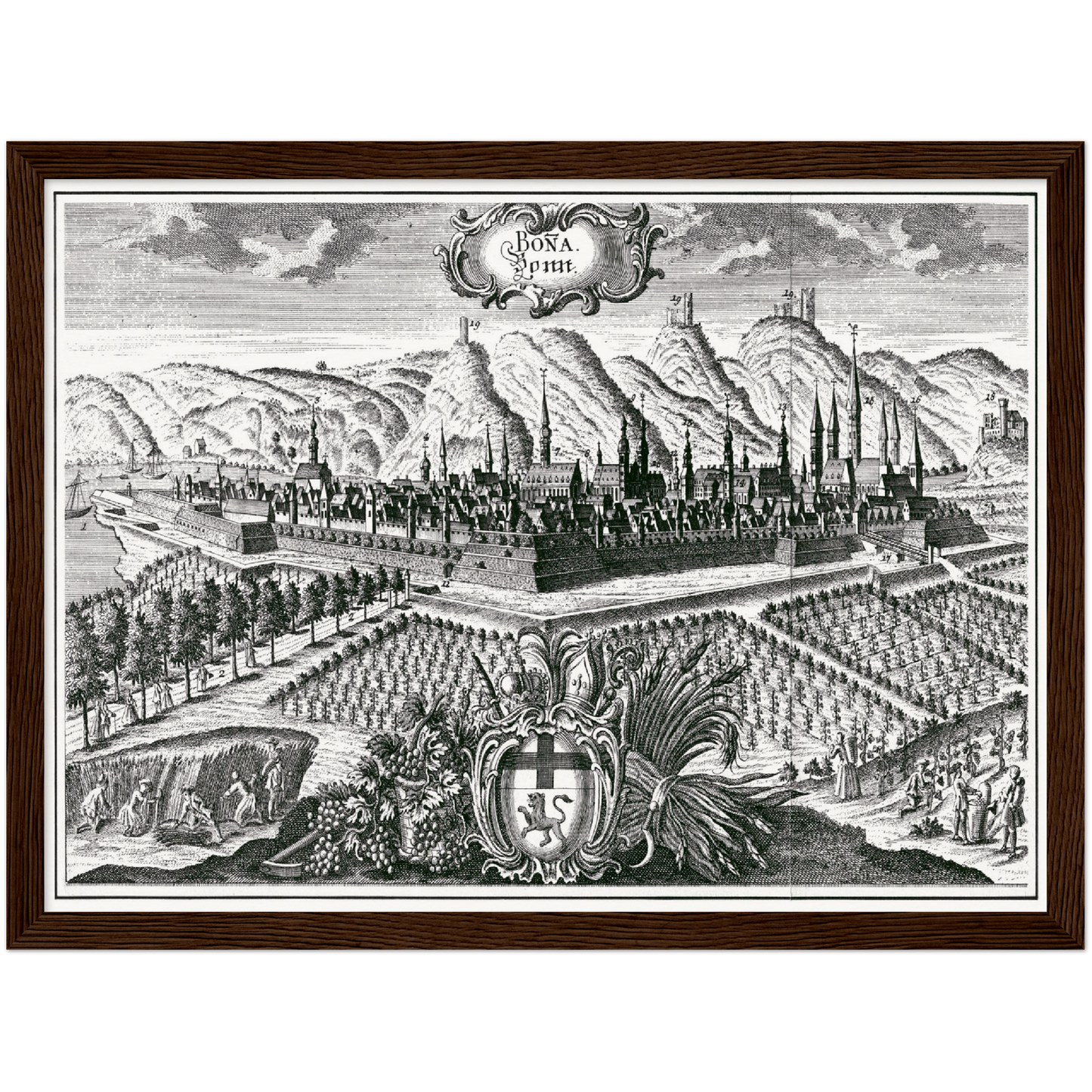 Historische Stadtansicht Bonn um 1700