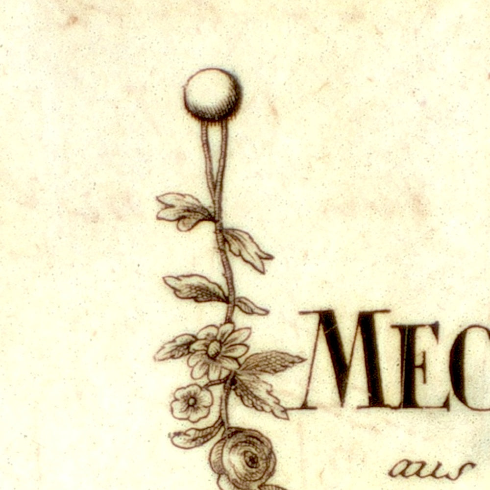 Region Mecklenburg-Strelitz um 1797