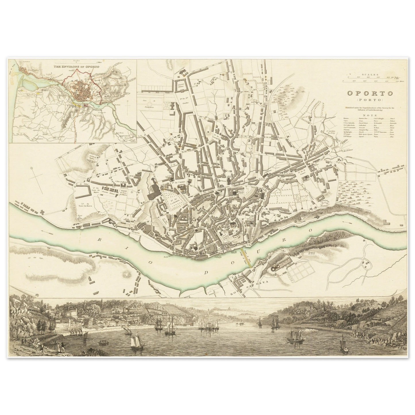 22c9a2ca-efd2-4035-96a3-03dae3863907