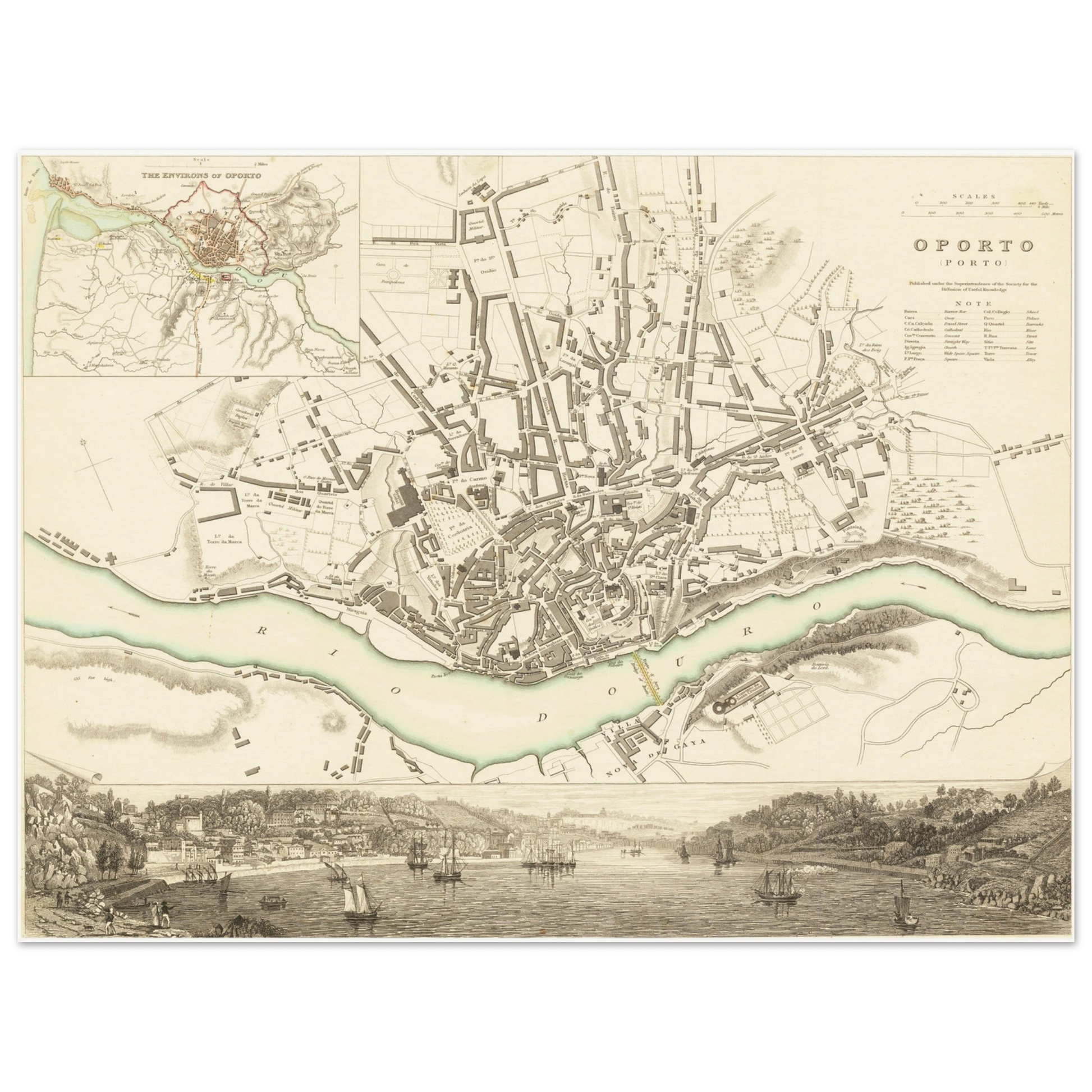 22c9a2ca-efd2-4035-96a3-03dae3863907