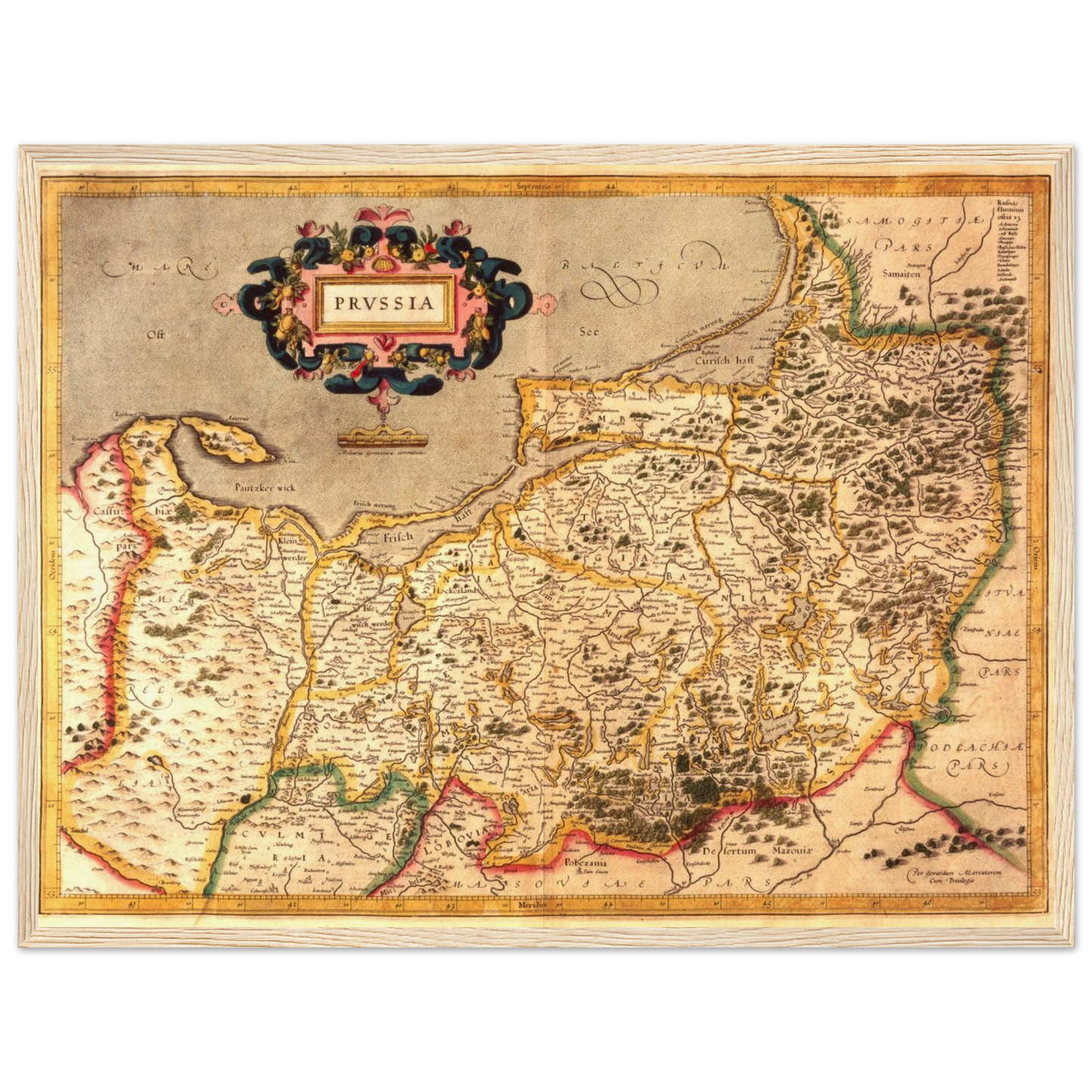 2e624e3d-e070-4700-a6fc-a6207b9b808a