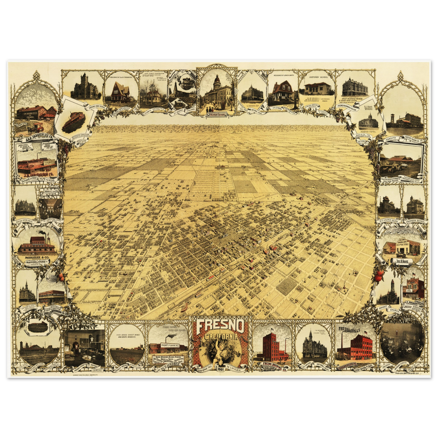 40217d9a-152f-4e59-9a82-6e35ba728e75