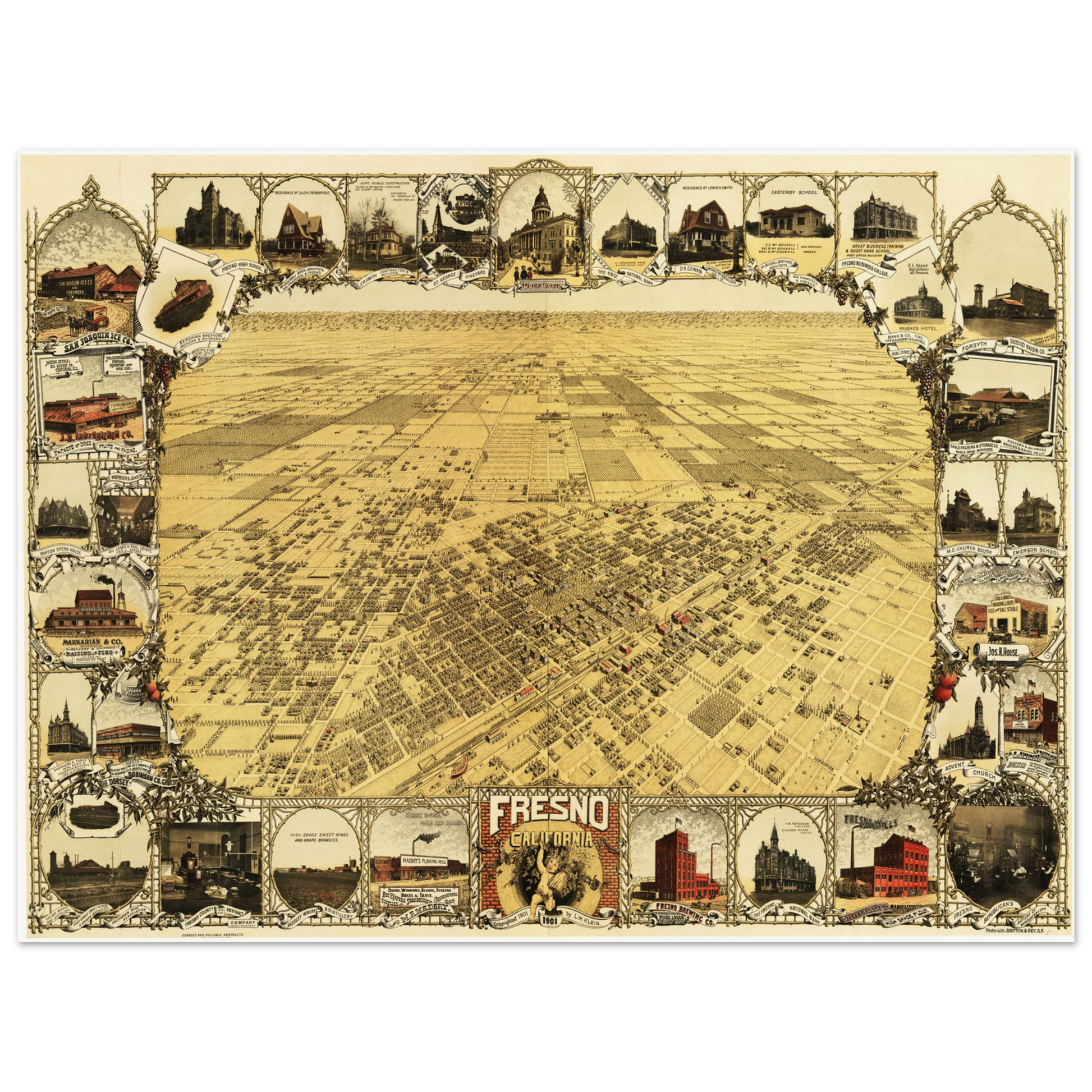 40217d9a-152f-4e59-9a82-6e35ba728e75