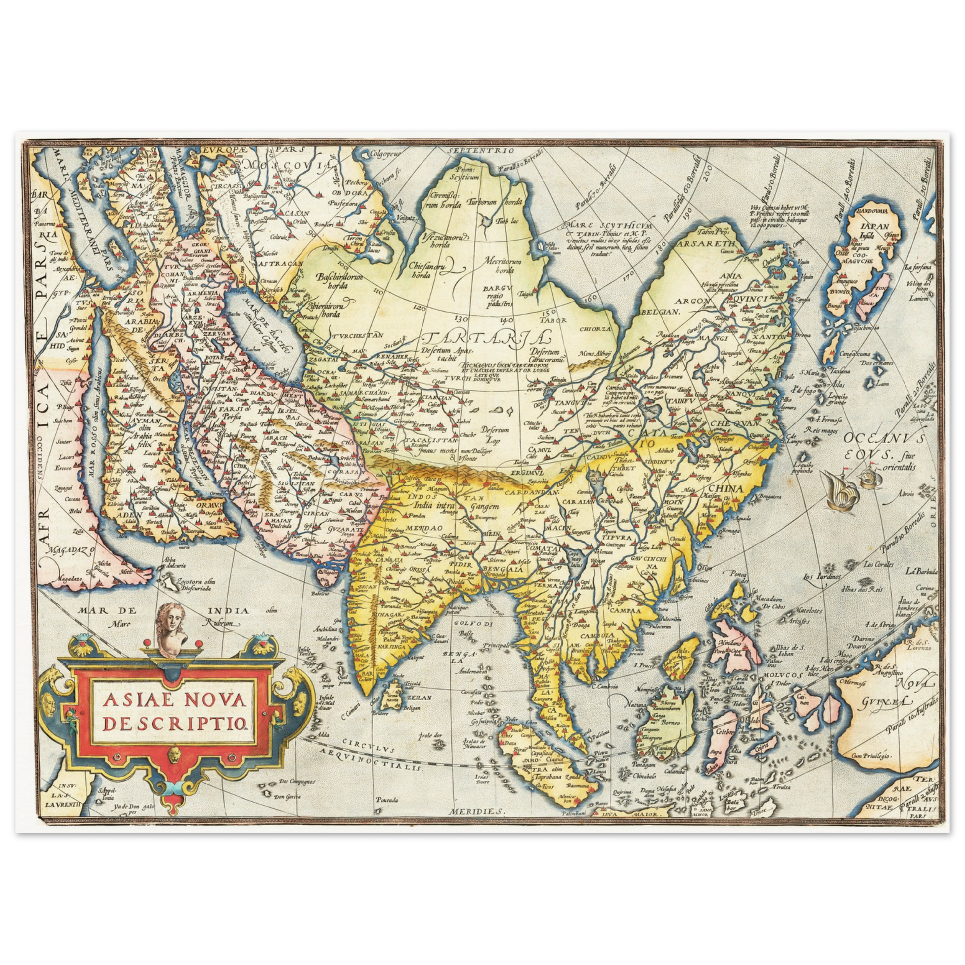 65287bcb-b31f-45c9-abfe-7d06eff5f651