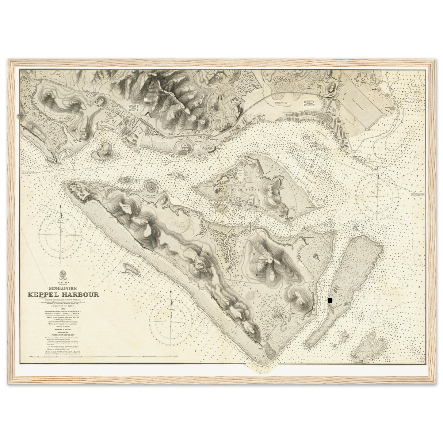 a48d2e32-5bd7-4721-89ca-e07546a85813