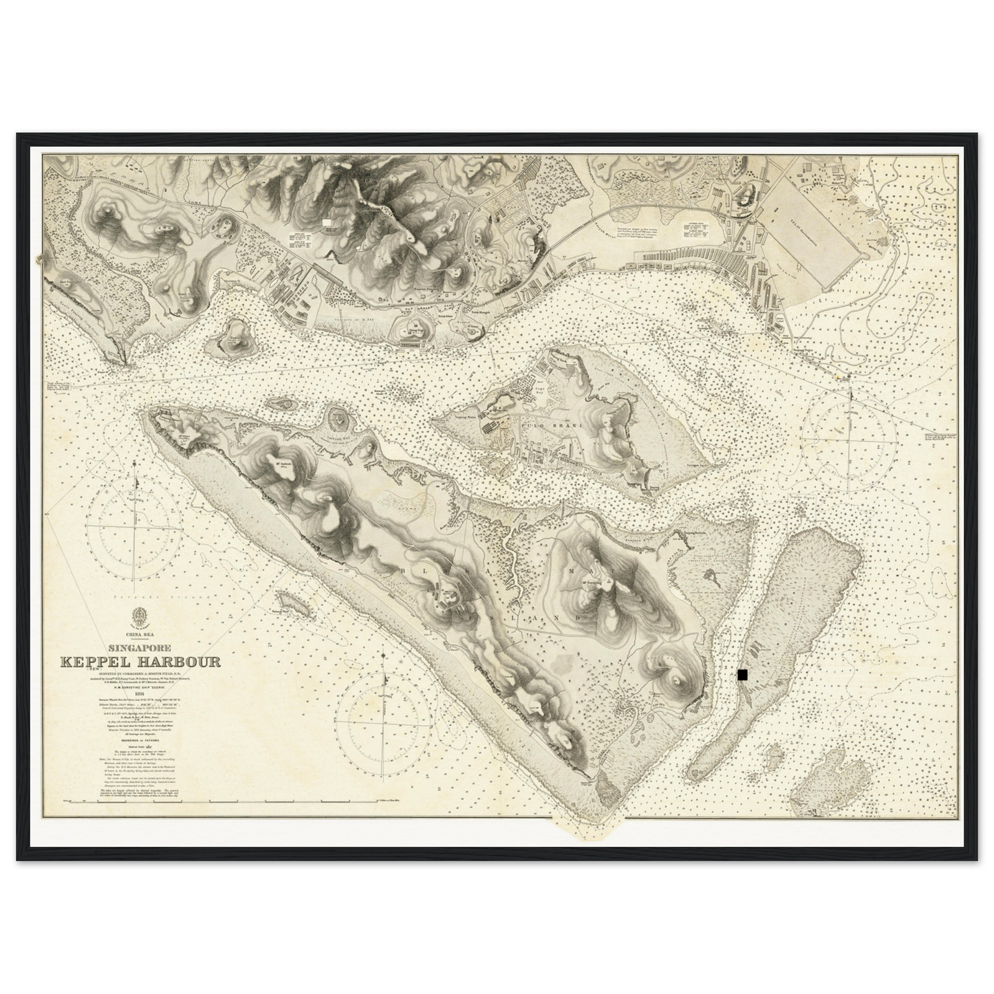 ccdda312-53b5-41d3-8bbd-c17baf7b7cd0