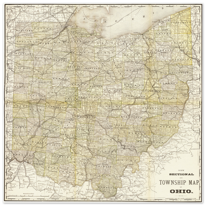 d4c74576-2ea2-4d22-b1d6-4138962702b6