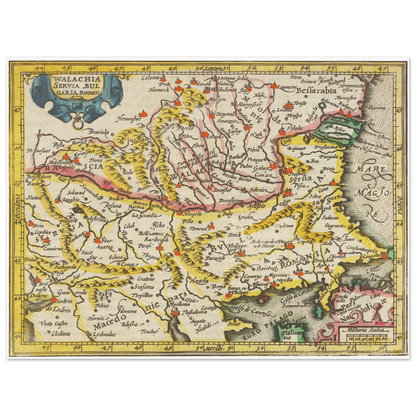 f5db11c7-8b8f-4de5-9fd6-354dfe855482