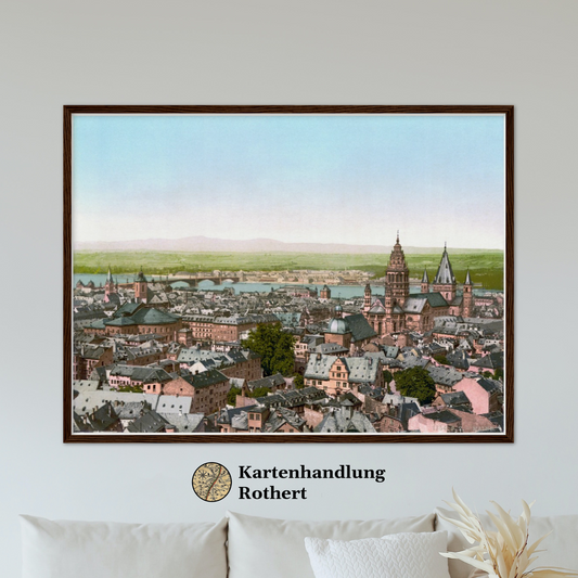 Historische Ansicht Mainz um 1890