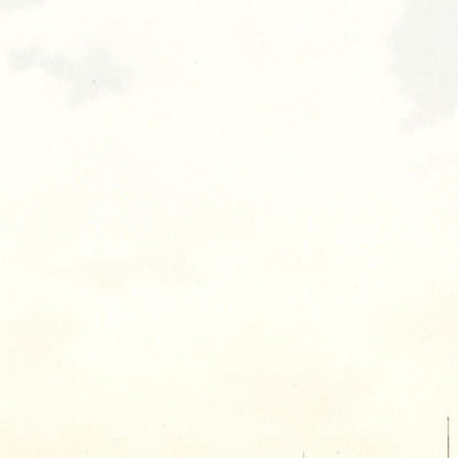 Historische Ansicht Hamburg Jungfernstieg um 1895