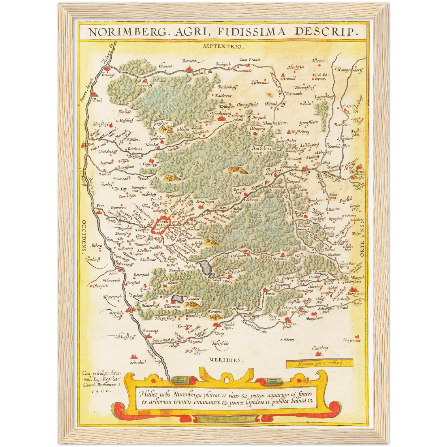 Historische Landkarte Nürnberg um 1609