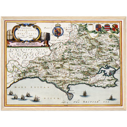 Dorset um 1646
