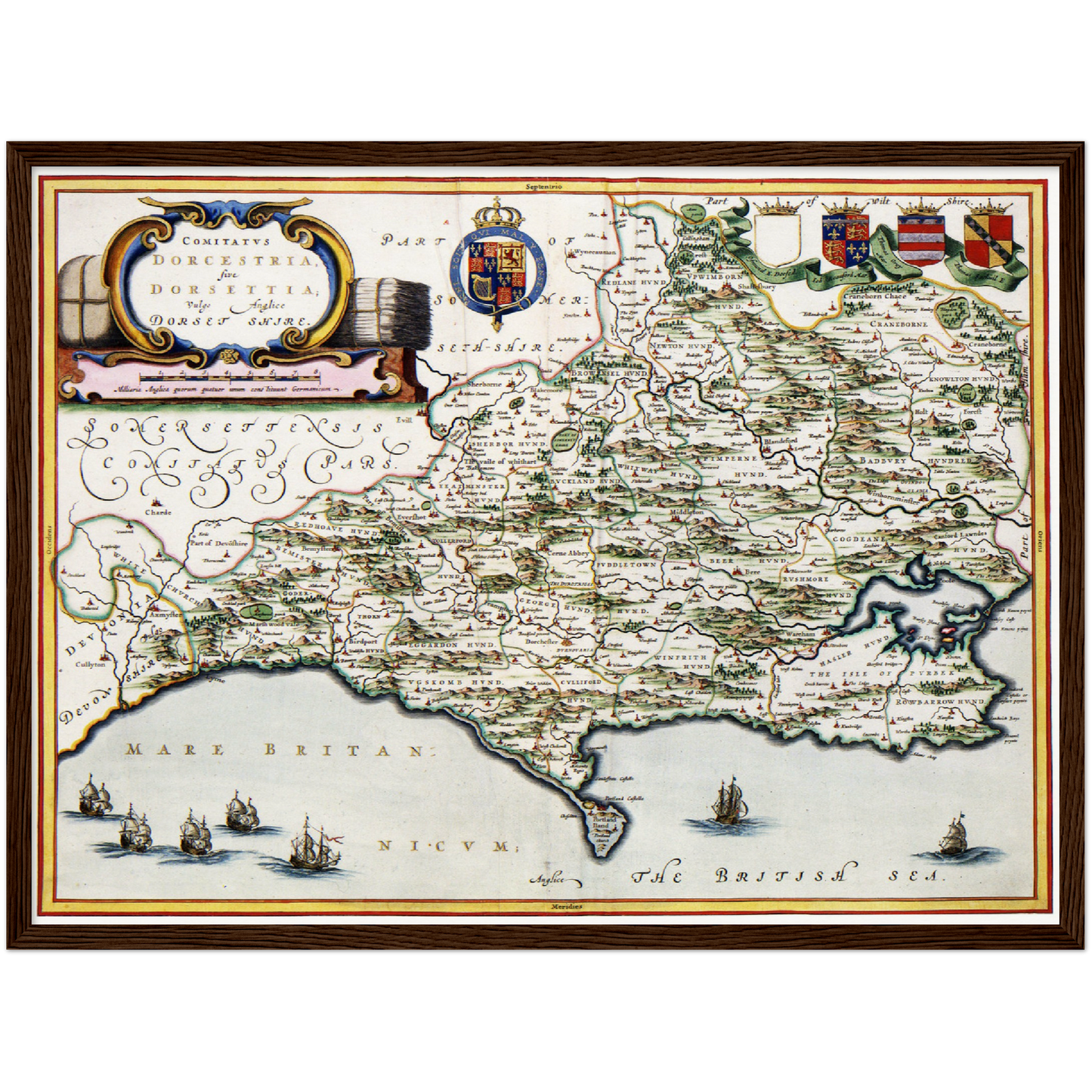 Dorset um 1646